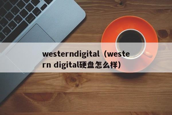 westerndigital（western digital硬盘怎么样）  第1张